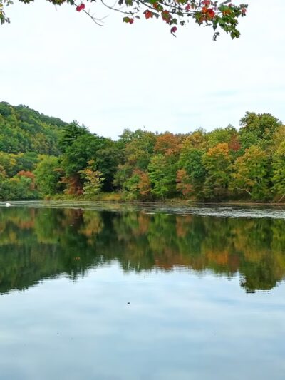 Naugatuck River Walk - Thomaston, CT