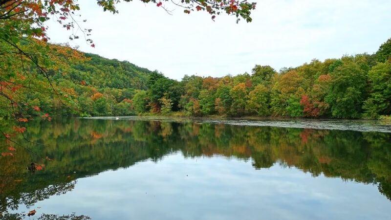 Naugatuck River Walk - Thomaston, CT