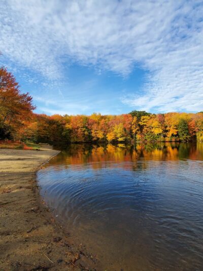 Nystroms - Thomaston, CT