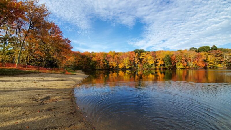 Nystroms - Thomaston, CT