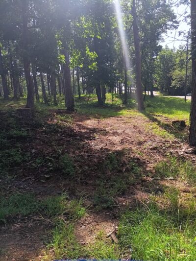 McFadden Park - Thomasville, AL