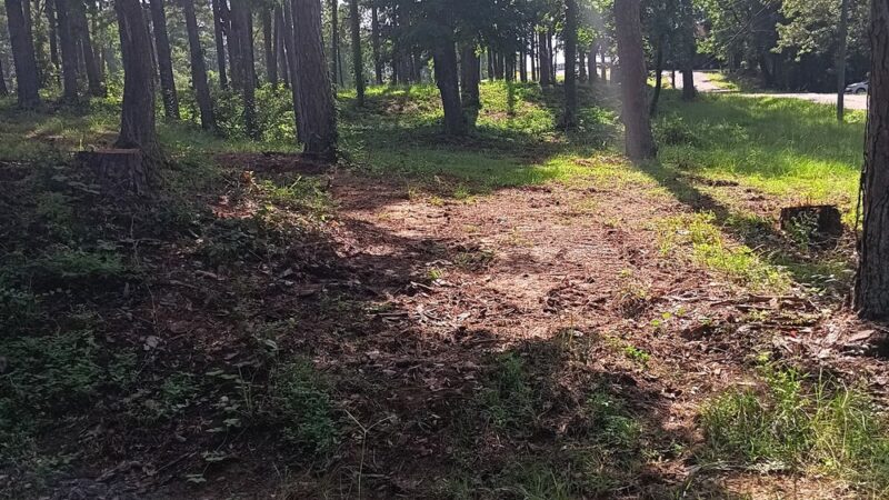 McFadden Park - Thomasville, AL
