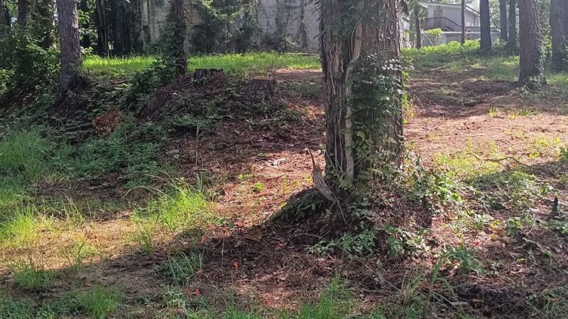 McFadden Park - Thomasville, AL