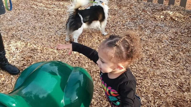 Thomasville City Park - Thomasville, AL