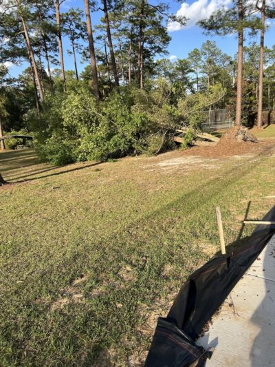 Balfour Park- City of Thomasville Dog Park - Thomasville, GA