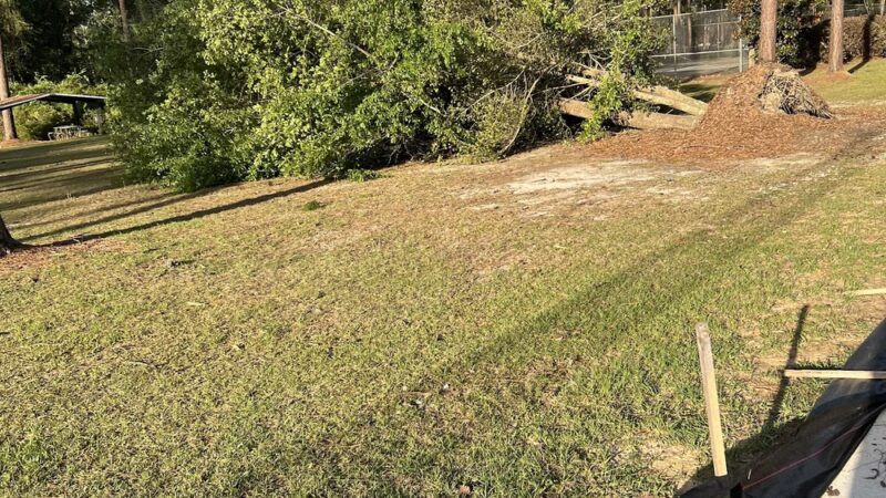 Balfour Park- City of Thomasville Dog Park - Thomasville, GA