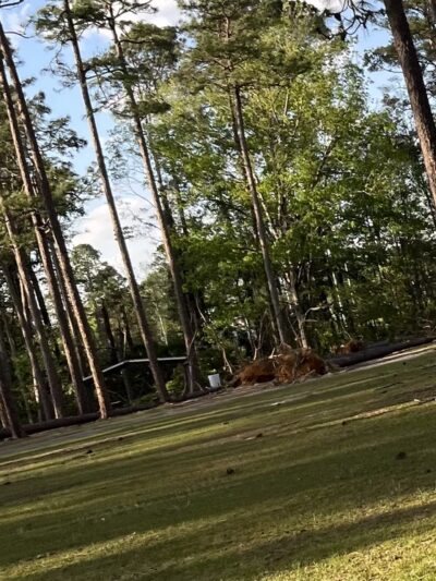 Balfour Park- City of Thomasville Dog Park - Thomasville, GA