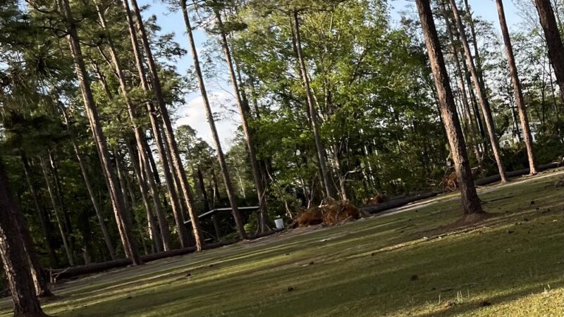 Balfour Park- City of Thomasville Dog Park - Thomasville, GA