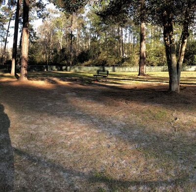 Balfour Park- City of Thomasville Dog Park - Thomasville, GA