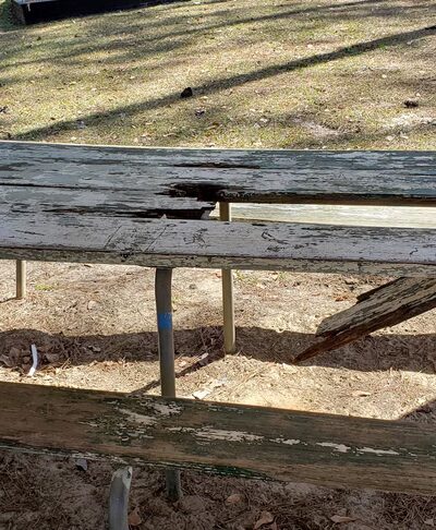 Balfour Park- City of Thomasville Dog Park - Thomasville, GA