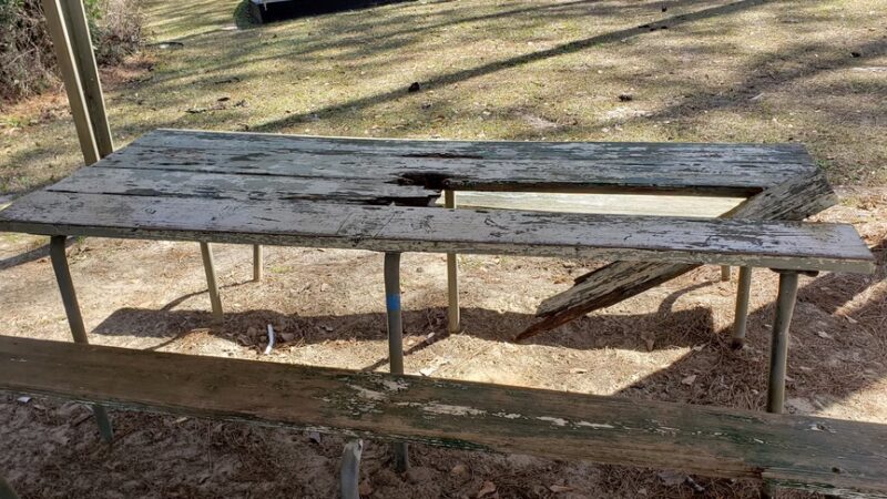 Balfour Park- City of Thomasville Dog Park - Thomasville, GA