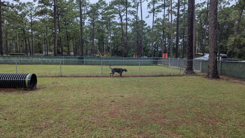 Dog Park - Thomasville, GA