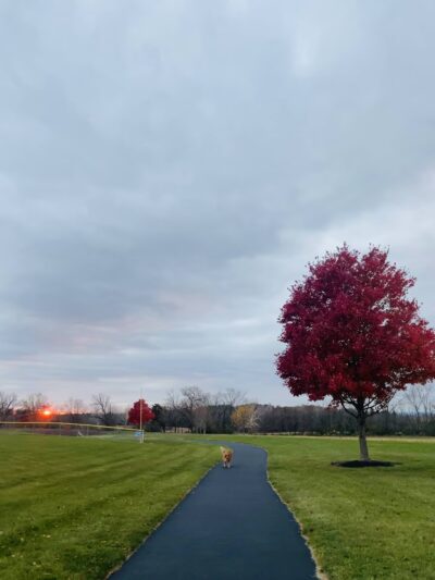 Farmer's Field - Thomasville, PA