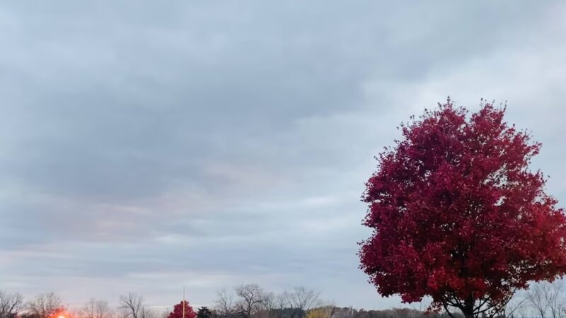Farmer's Field - Thomasville, PA