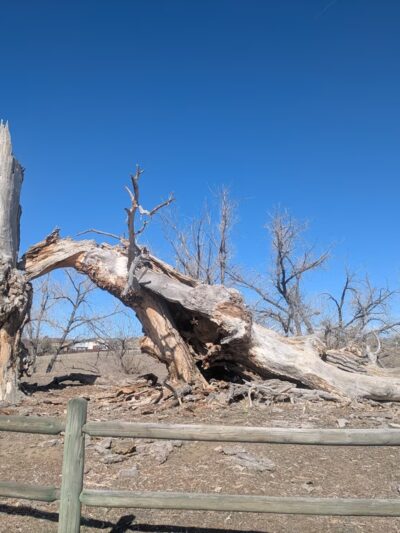 Carpenter Park Fields - Thornton, CO
