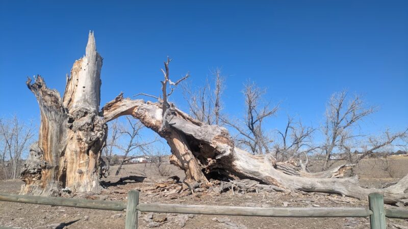 Carpenter Park Fields - Thornton, CO