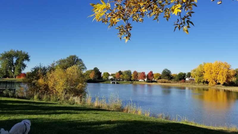 Cherry Park Pavilion - Thornton, CO