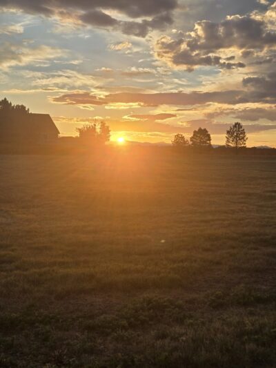 Colony Park - Thornton, CO