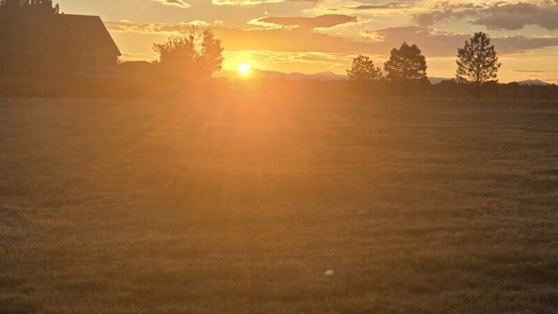 Colony Park - Thornton, CO