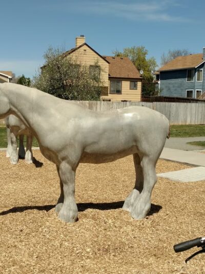 Cottonwood Park - Thornton, CO