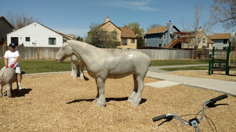 Cottonwood Park - Thornton, CO
