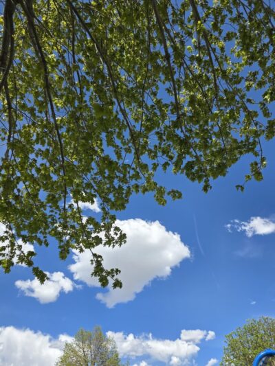 Highridge Court Park - Thornton, CO