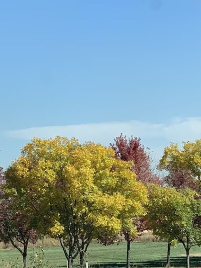 Holly Park - Thornton, CO