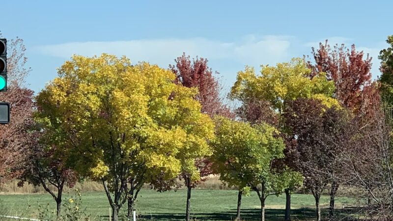 Holly Park - Thornton, CO