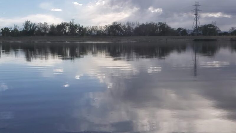 Pelican Ponds Open Space - Thornton, CO