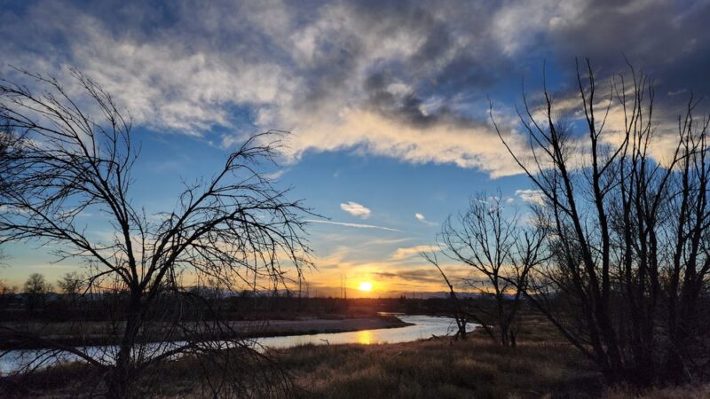 Pelican Ponds Open Space - Thornton, CO