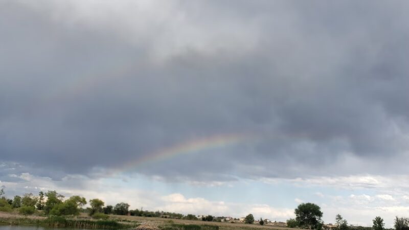 Pelican Ponds Open Space - Thornton, CO