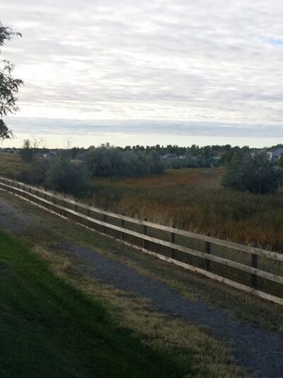 Sage Creek Park - Thornton, CO