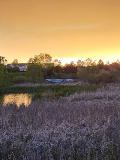 Sage Creek Park - Thornton, CO