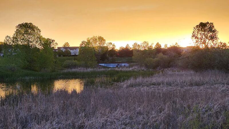 Sage Creek Park - Thornton, CO