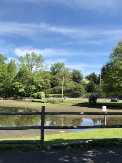James M. Carroll Park - Thornwood, NY