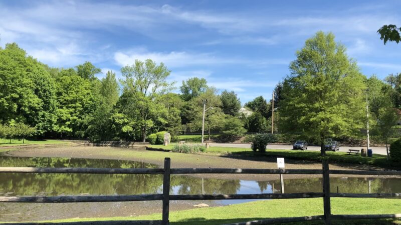 James M. Carroll Park - Thornwood, NY