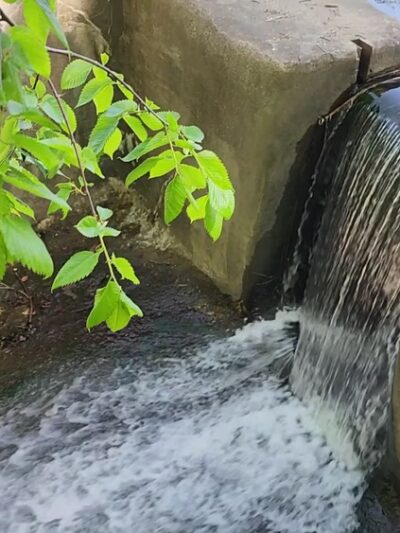 James M. Carroll Park - Thornwood, NY