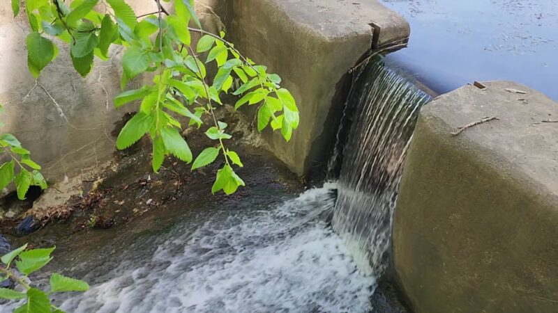 James M. Carroll Park - Thornwood, NY