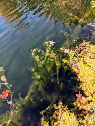 James M. Carroll Park - Thornwood, NY