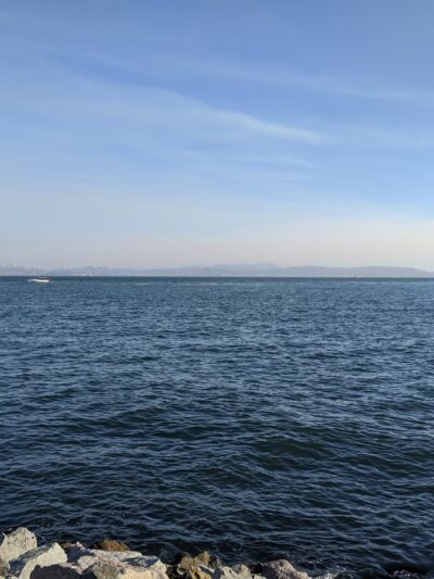 Tiburon Dog Park - Tiburon, CA