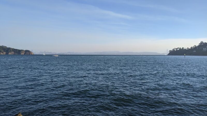 Tiburon Dog Park - Tiburon, CA