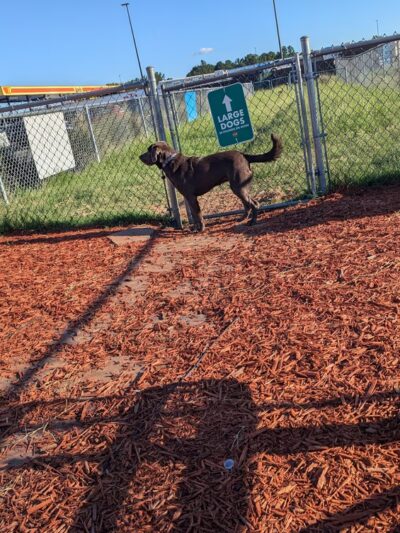 Dog Park at Love's Travel Stops - Tifton, GA
