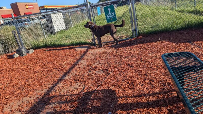 Dog Park at Love's Travel Stops - Tifton, GA