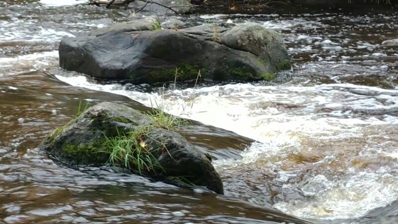Tigerton OHV Park & Campground - Tigerton, WI