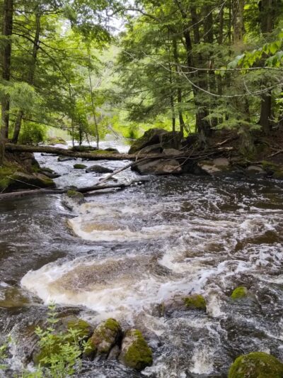 Tigerton OHV Park & Campground - Tigerton, WI