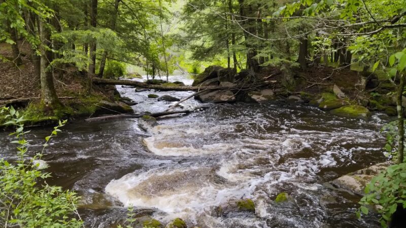 Tigerton OHV Park & Campground - Tigerton, WI