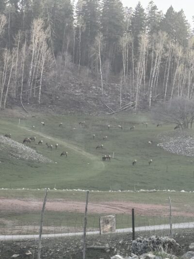 PeakRvandcampground - Timberon, NM