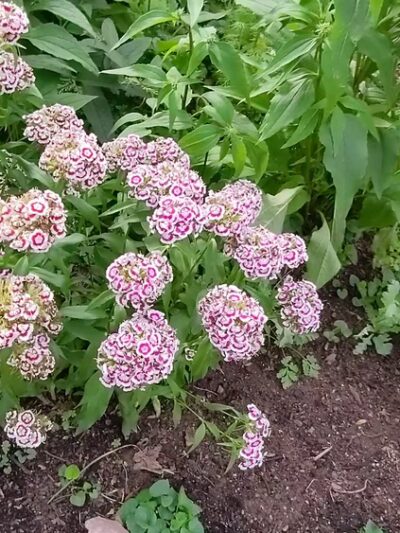 Washington Crossing State Park - Titusville, NJ