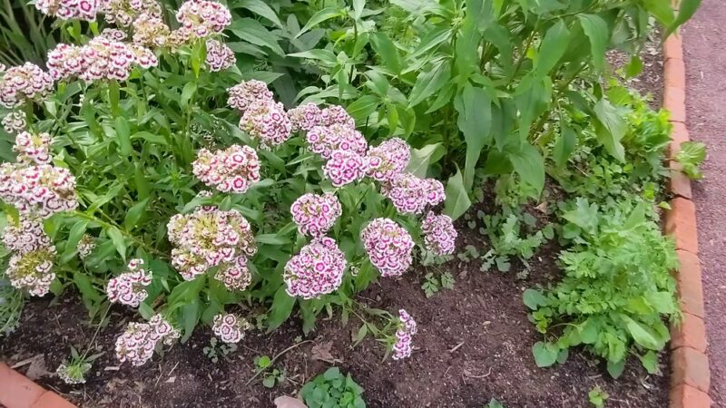 Washington Crossing State Park - Titusville, NJ