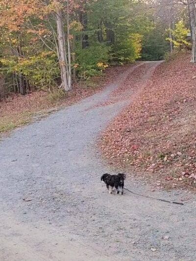Tobyhanna Campground - Tobyhanna, PA